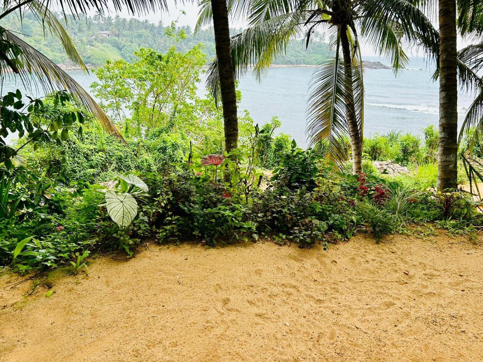 Surf Paradise 坦加拉 外观 照片