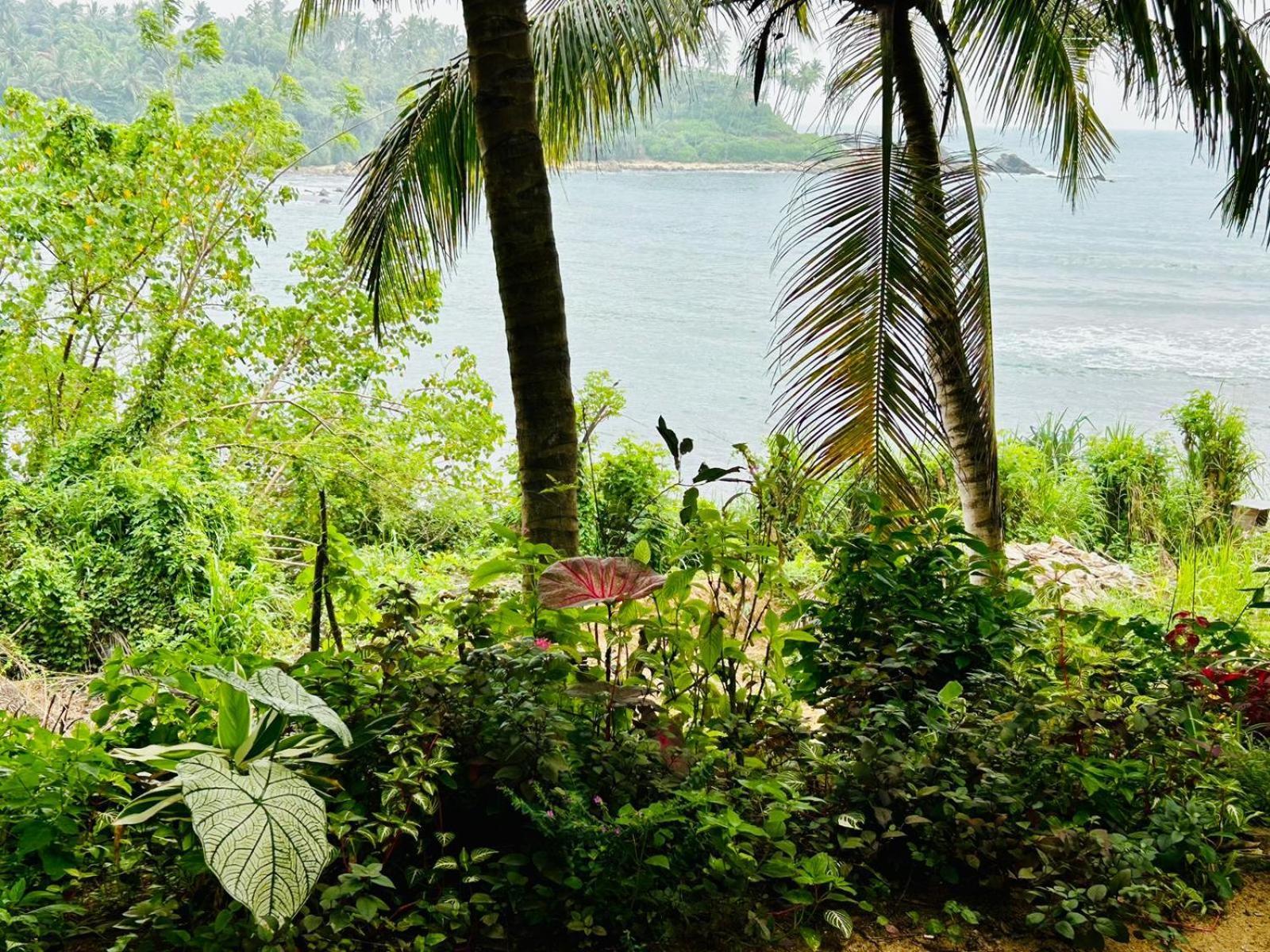 Surf Paradise 坦加拉 外观 照片