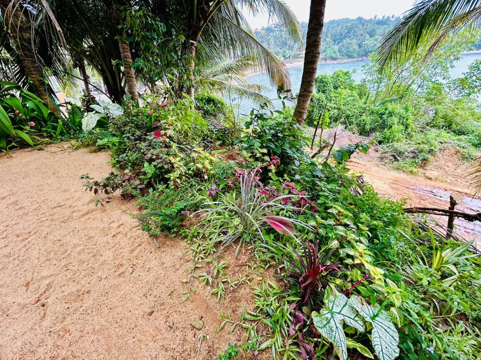Surf Paradise 坦加拉 外观 照片