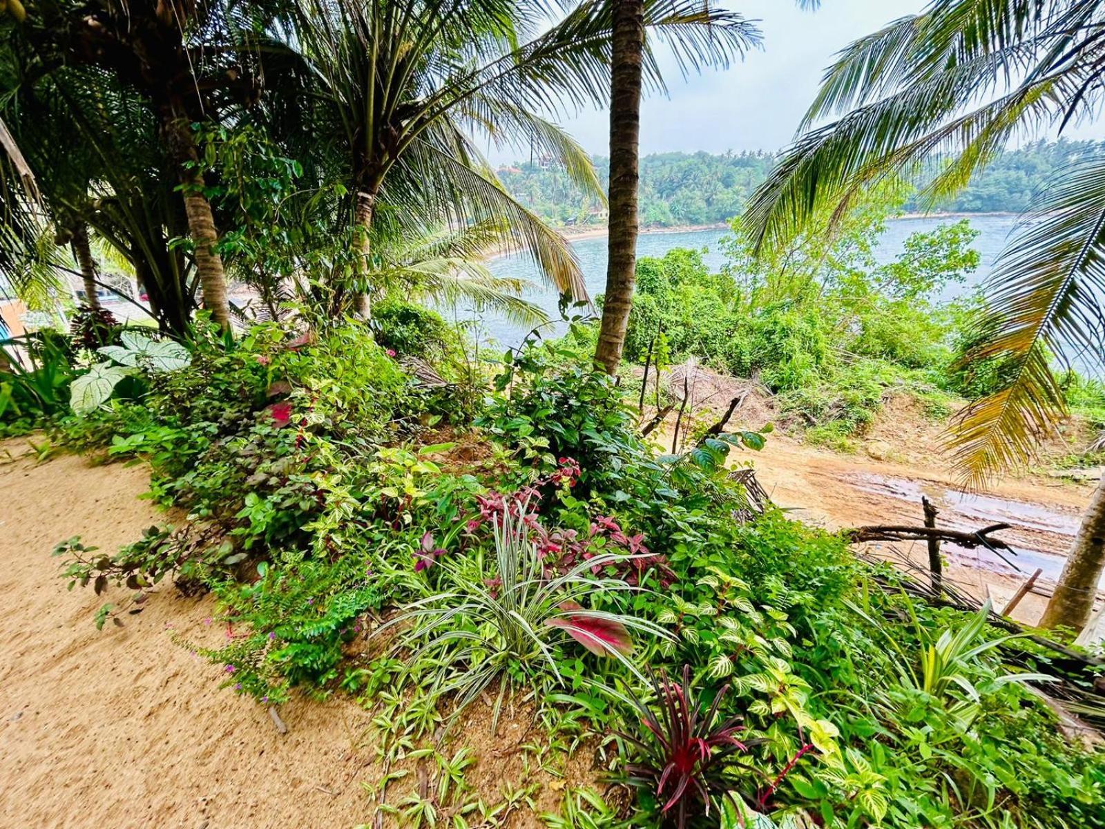 Surf Paradise 坦加拉 外观 照片