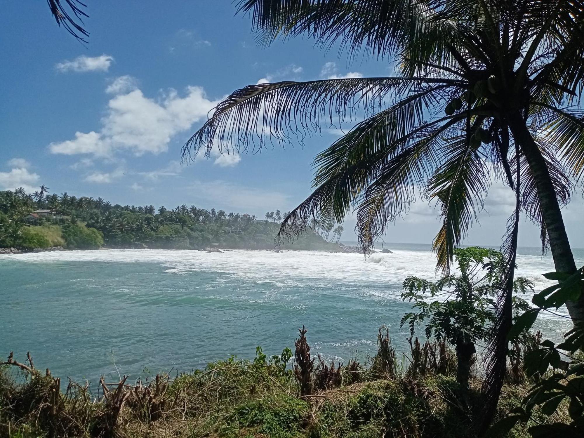 Surf Paradise 坦加拉 外观 照片
