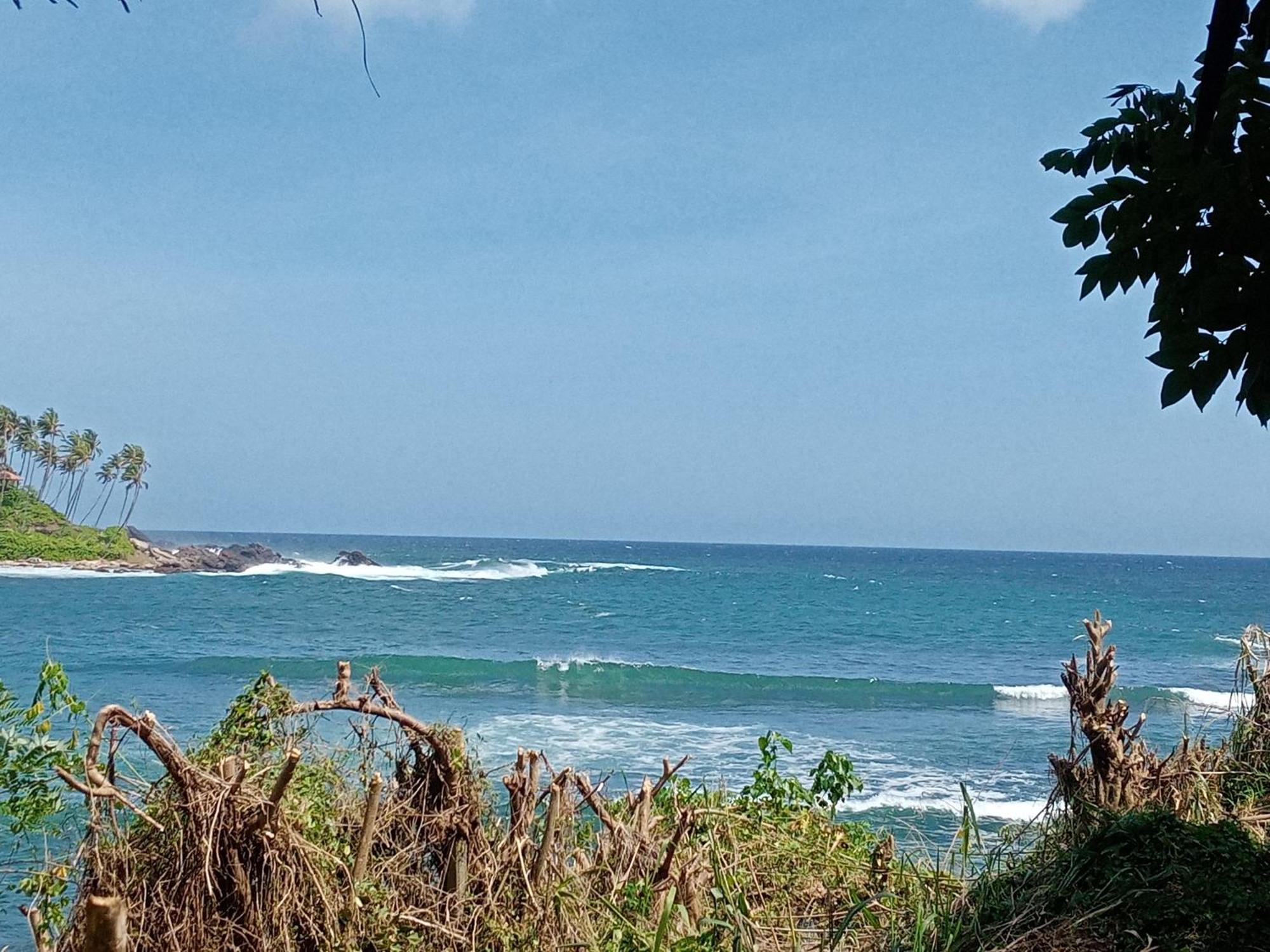 Surf Paradise 坦加拉 外观 照片