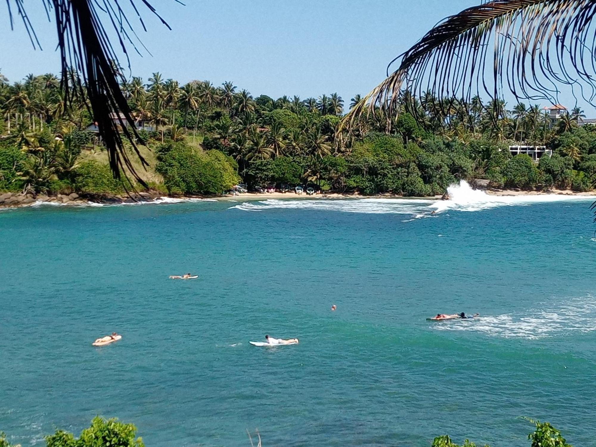 Surf Paradise 坦加拉 外观 照片