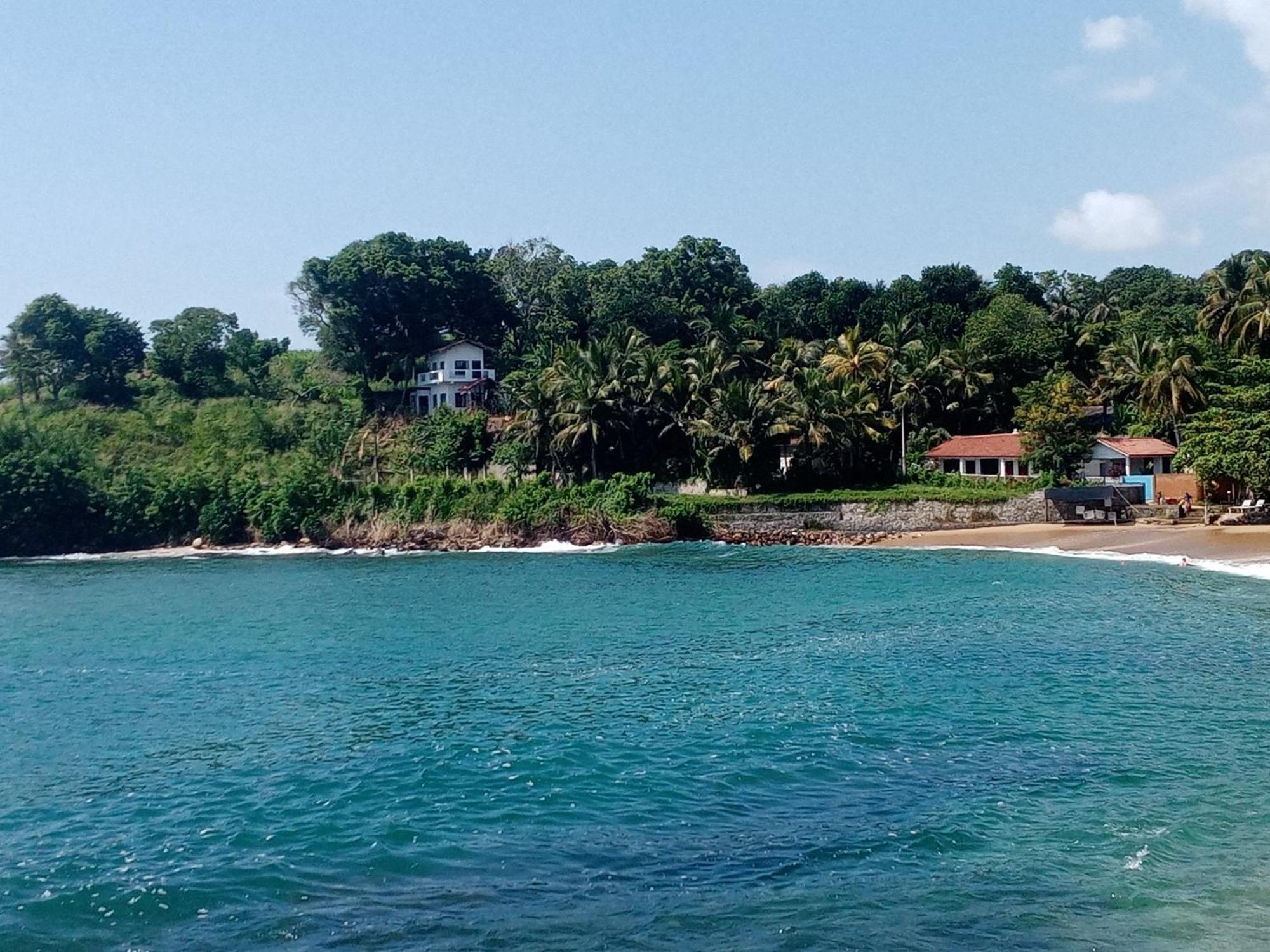 Surf Paradise 坦加拉 外观 照片